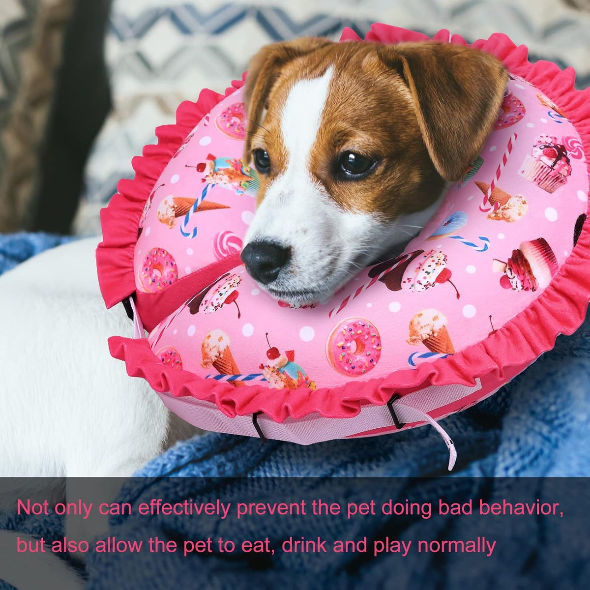 CuteBone Dog Recovery Cone for Small Medium Dogs & Cats