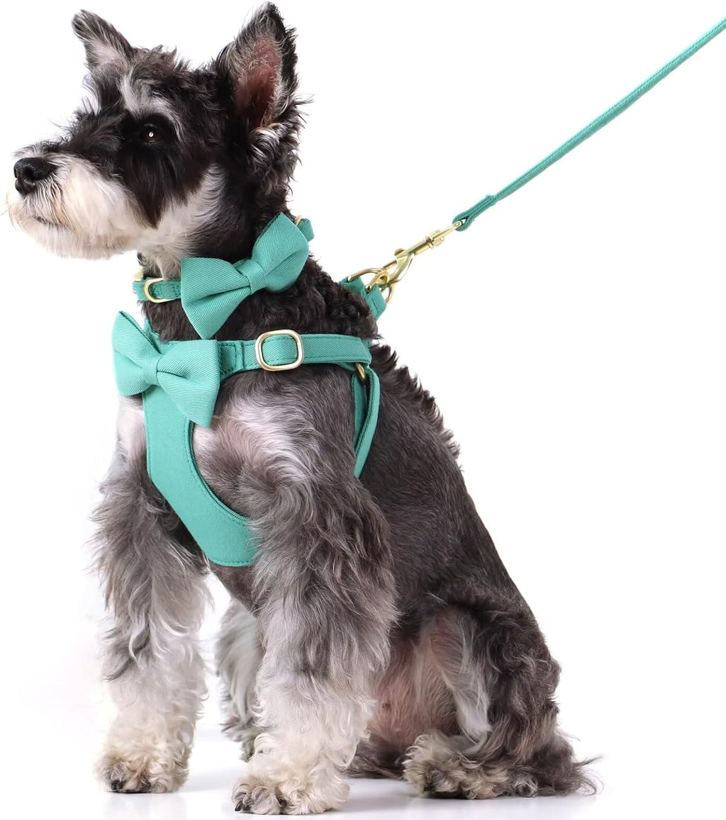 Beirui Cute Small Dog Harness Collar and Leash Set, Green,XS,Chest 13-28"