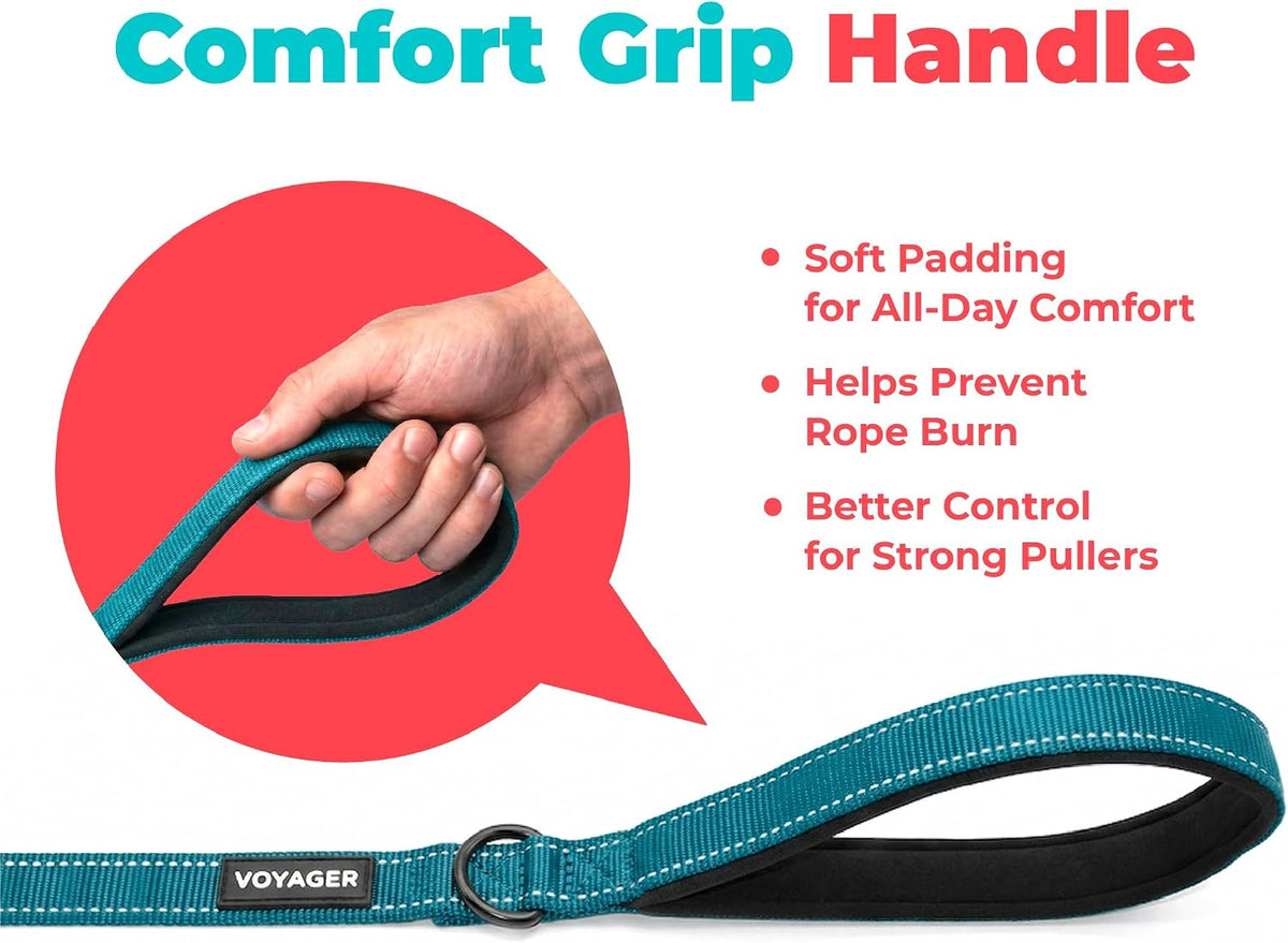 Best Pet Supplies Voyager Nylon Dog Leash - Turquoise, Medium