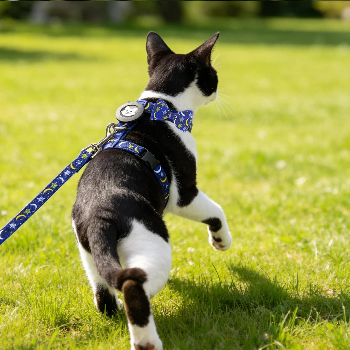EXPAWLORER Cat Harness and Leash Set Escape Proof Vest with AirTag Holder
