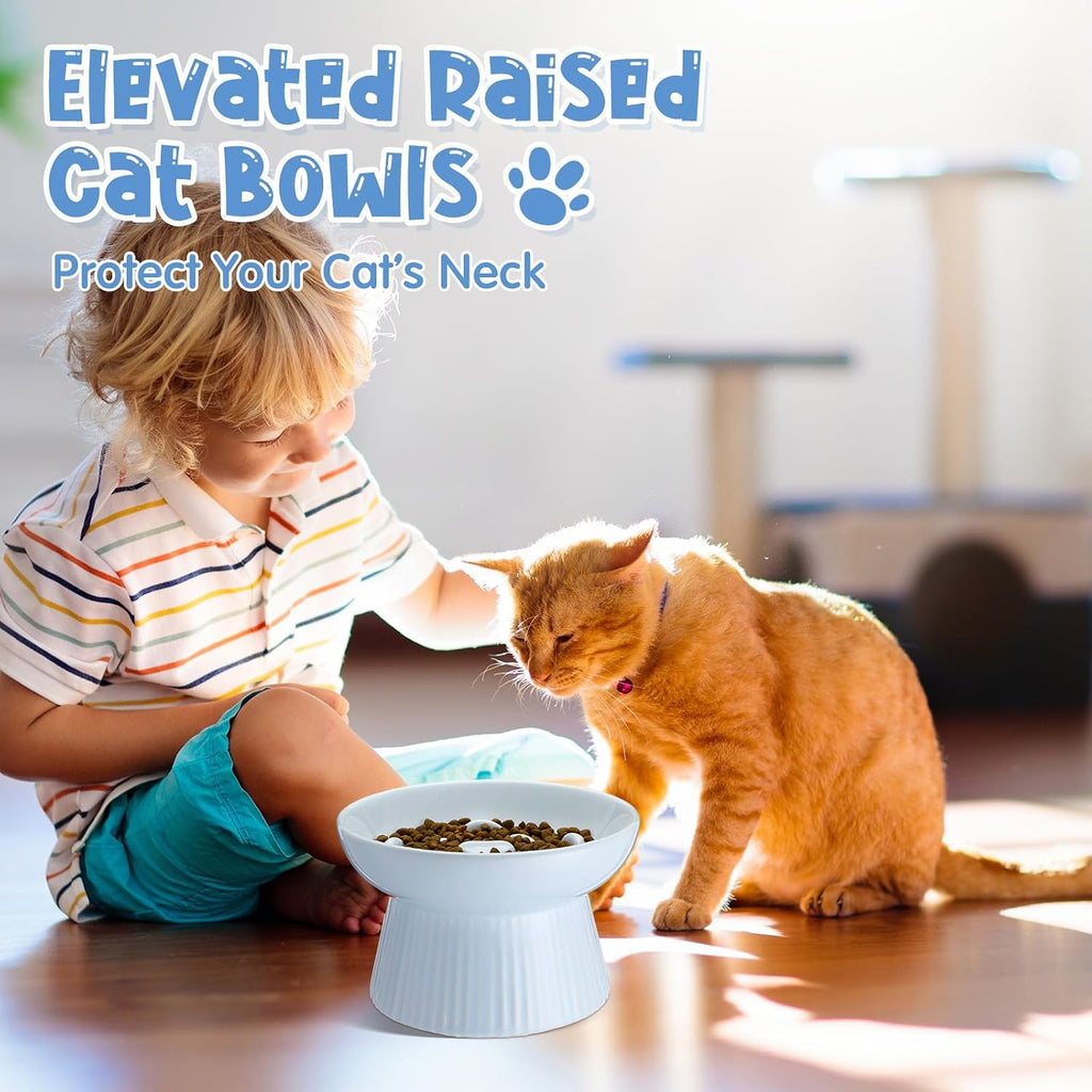 Tioncy 2 Pcs Ceramic Elevated Slow Feeder Cat Bowl, White, Blue