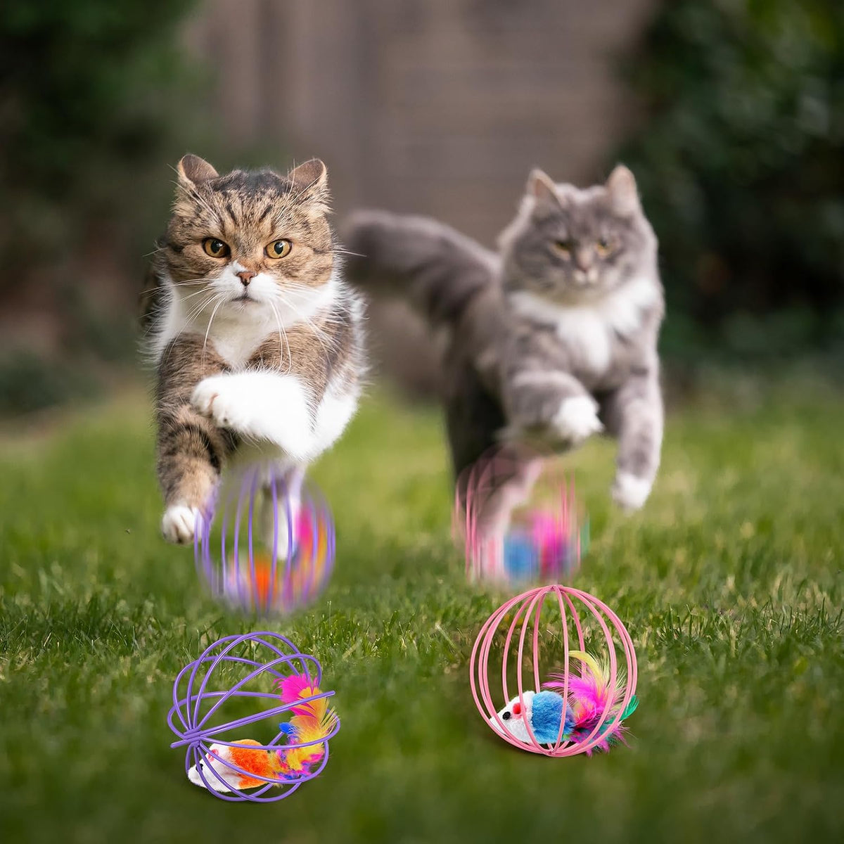 Jecery 5 Pcs Cat Toys Spring,Metal Cage,Multicolor