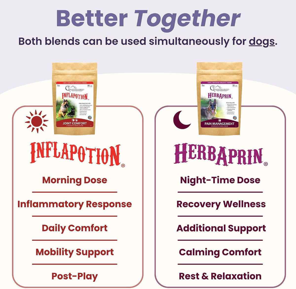 Glacier Peak Holistics Inflapotion Hip & Joint Support for Dogs & Cats 3 oz