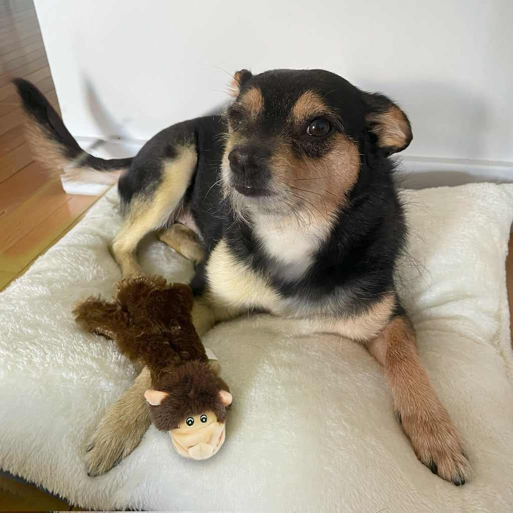 Best Pet Supplies 2-in-1 Stuffless Squeaky Dog Toy - Monkey, Large | No-Stuffing, 2 built-in squeakers, No Mess, Soft, Holds a Plastic Bottle for Added play, Perfect for Moderate chewers