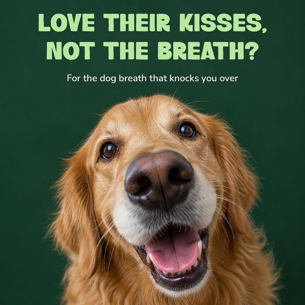 Breath Buddy Dog Breath Freshener Powder by Fifth & Fido, Bacon Food Topper