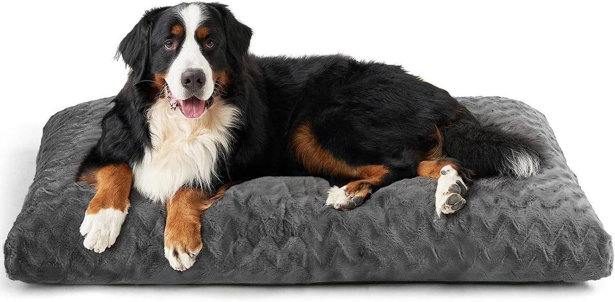 EHEYCIGA XXL Dog Bed 47x29 Inch, Extra Large Pet Beds for Dogs, Charcoal