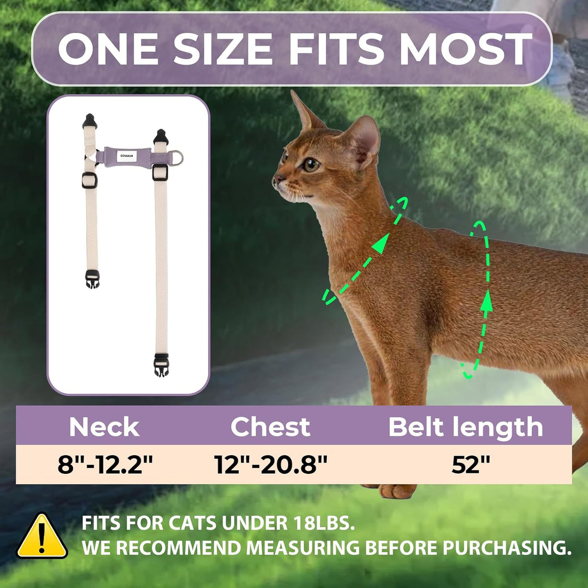 Cat Harness and Leash Set - White Lightweight Soft Kitten Harness Escape Proof, Adjustable Travel Pet Harness for Walking，Easy Control Comfortable Outdoor (White, One Size Fits All)