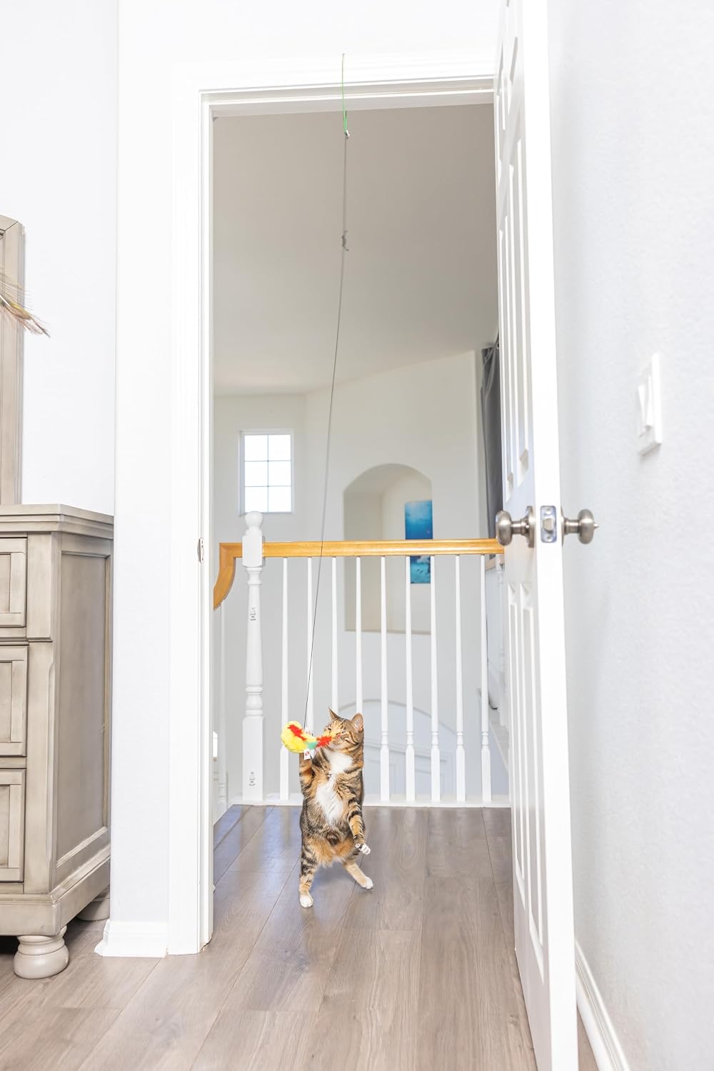 SPOT A-Door-Able Plush Bird Cat Toy | Rattle and Catnip Cat Toy Provides Hours of Entertainment for Your Cat | Hangs on Any Size Door Frame