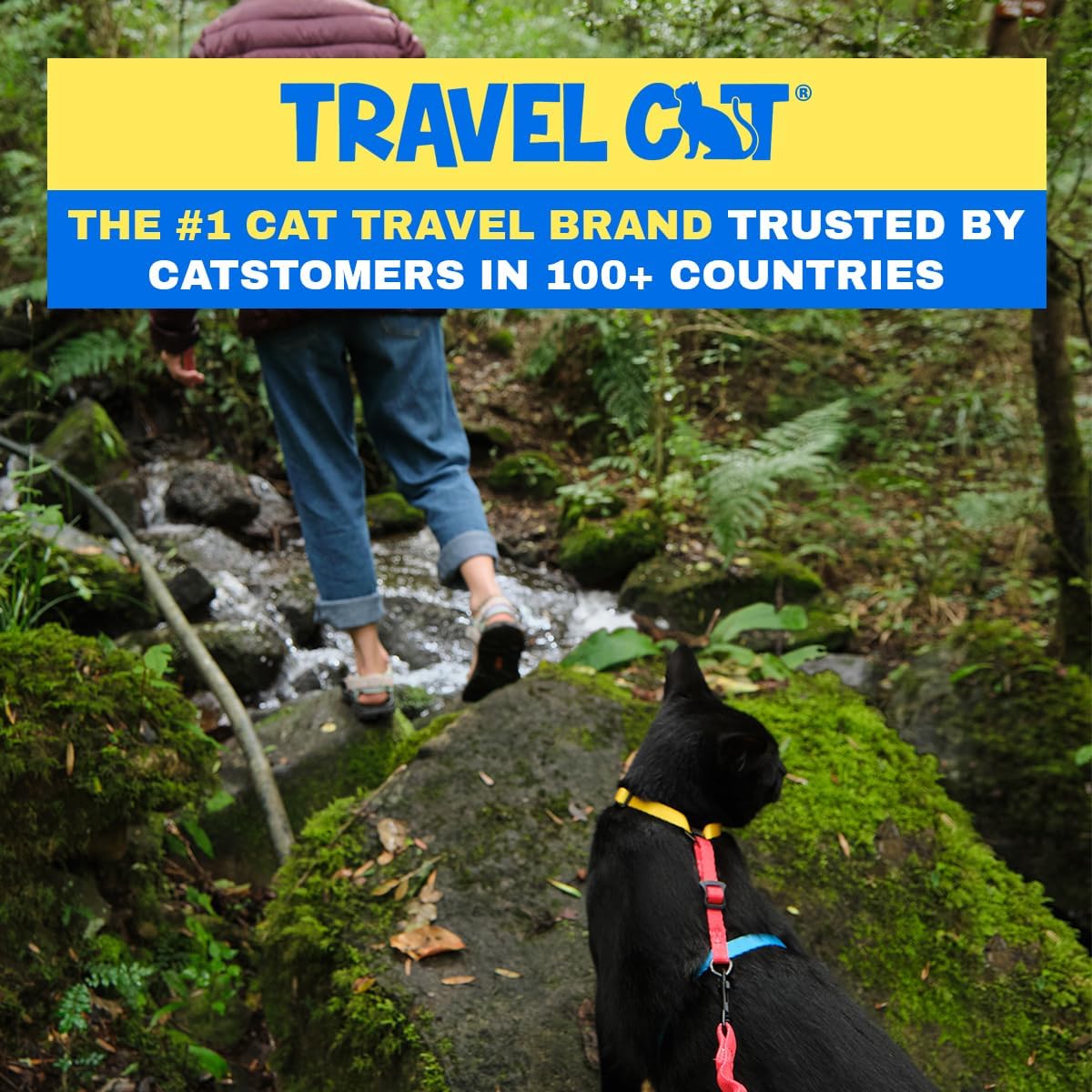 Travel Cat Harness and Bungee Leash Set - 2 in 1 Adjustable Escape Proof Cat Harness & Leash for Small, Medium, Large Cats, Kitten - Safe H-Style Cat Leash Harness for Outdoor Walking (Color Block)