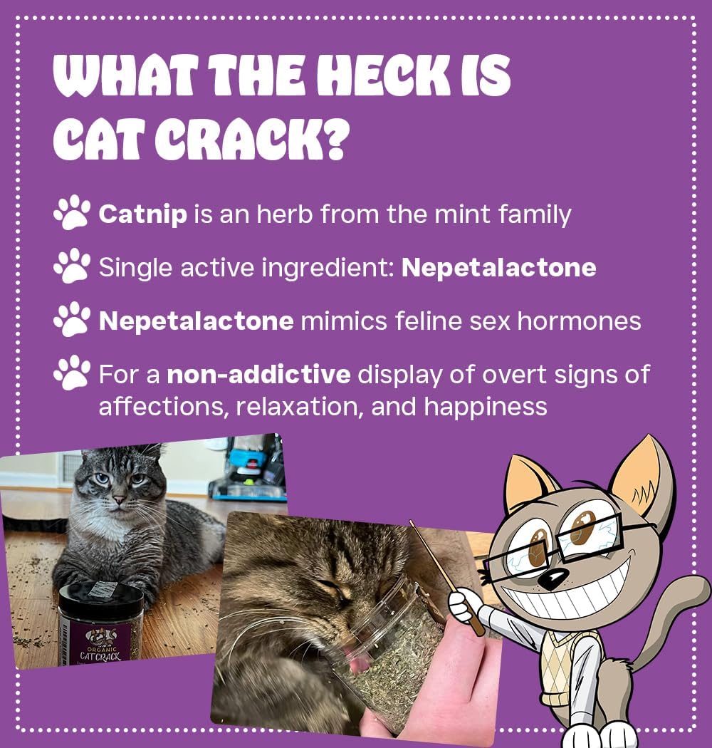 Cat Crack Catnip, Zoomie-Inducing Cat Nip, 100% Natural North American Made | 100% Natural, Safe & Non-Addictive Catnip Treats Used to Supplement Cat Nip Toys, Spray, & Accessories (20 Cups)