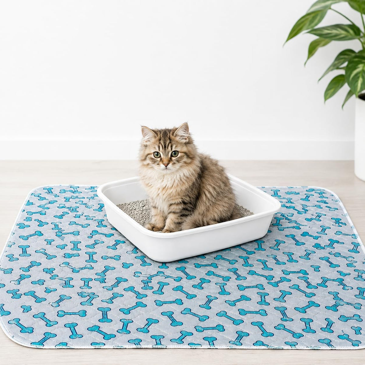 Washable Dog, Puppy and Cat Pee Pads, Leak-Proof (Large, 30x36, 4pk)