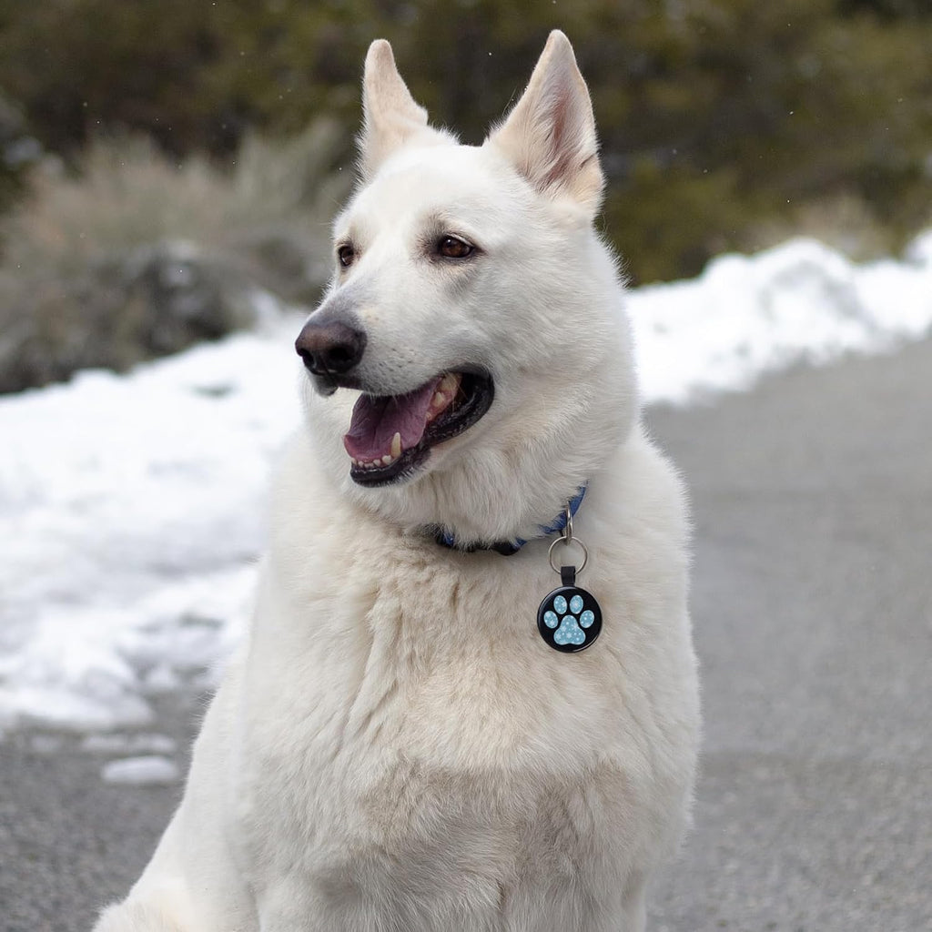 MYLUCKYTAG QR Code Dog Tags - Scan for Instant Pet Location Alerts