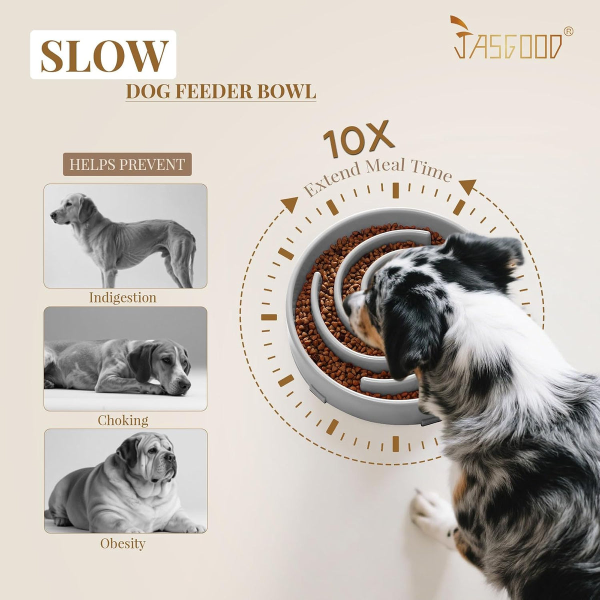 JASGOOD Slow Feeder Dog Bowl - Anti-Gulping, Prevents Bloat & Choking, Healthy Design for Large & Medium Dogs 
