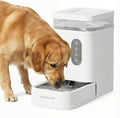 1.7 Gallon Automatic Dog Water Dispenser with Stainless Steel Bowl