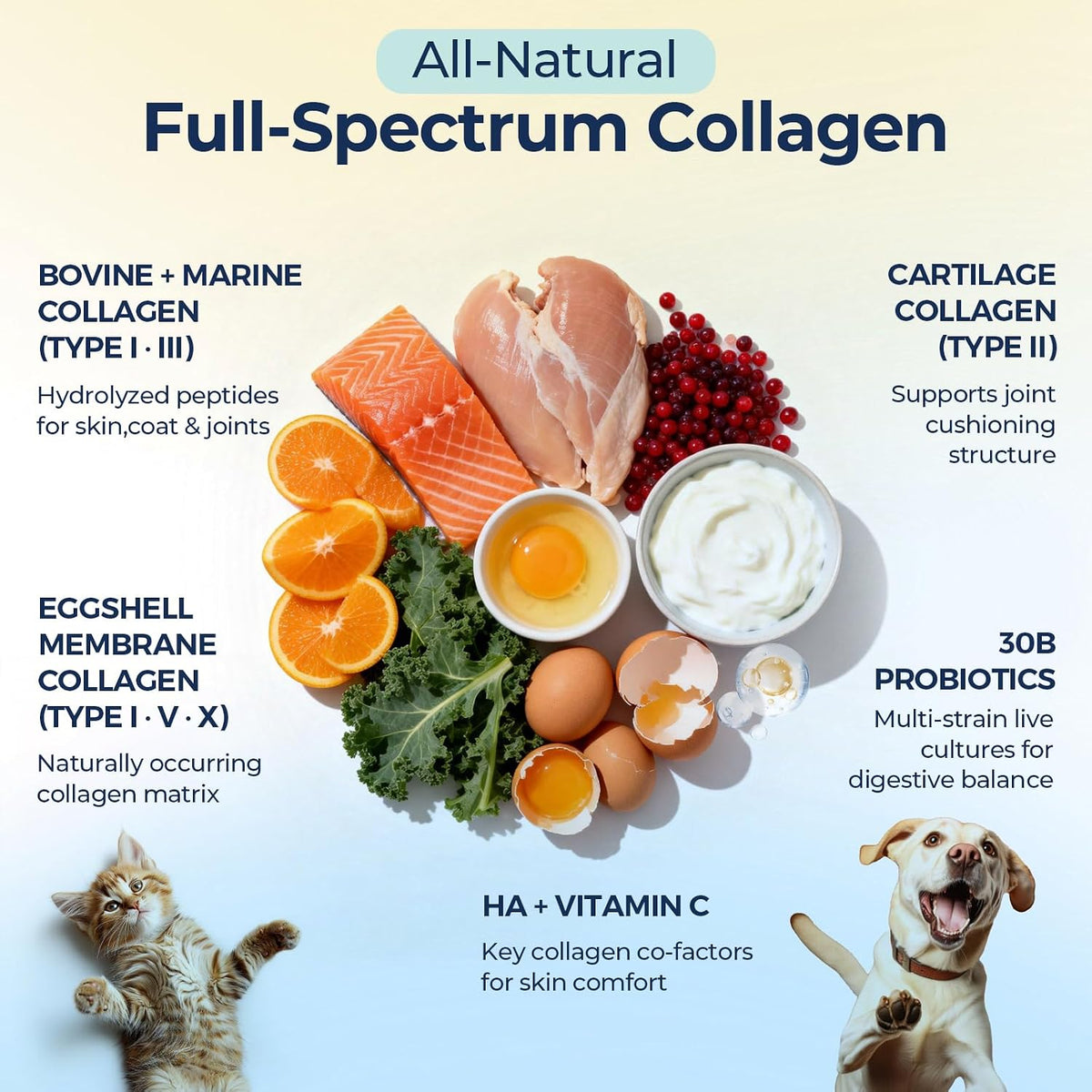 Collagen for Dogs - Liquid Collagen for Dogs & Cats with 5 Collagen Types(I, II, III, V & X) for Skin & Coat, Itch Relief, Hip & Joint, Plus 30B CFU Probiotics, Hyaluronic Acid & Vitamin C,60 Ampoules