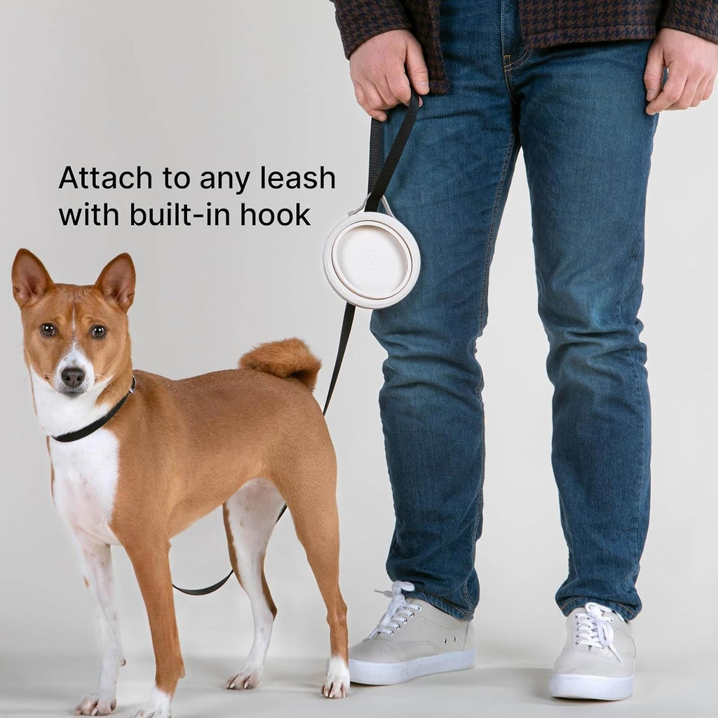 Cleverpup Nomad Small Collapsible Travel Dog Bowl - 2 Cup BPA-Free Silicone for Small & Medium Dogs, Portable, Sturdy, Food & Water, Dishwasher Safe - Sand