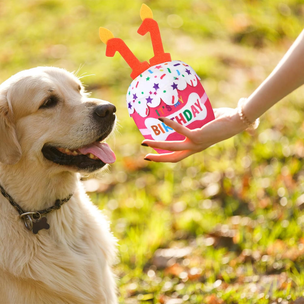 Dansydaisy Dog Birthday Cake Toy Squeaky Plush Gift,11th,Pink | Interactive Squeaky Gift for Dogs, Dog Birthday Decor , Soft Chew for Small Medium Large Pets, Cake Design with Candle