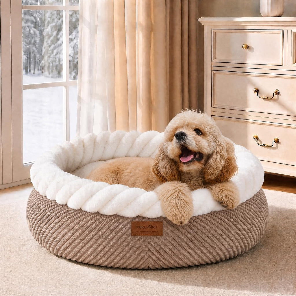 FUKUMARU Cute Cat Bed, 25in Large Round Cat Beds for Indoor Cats, Washable