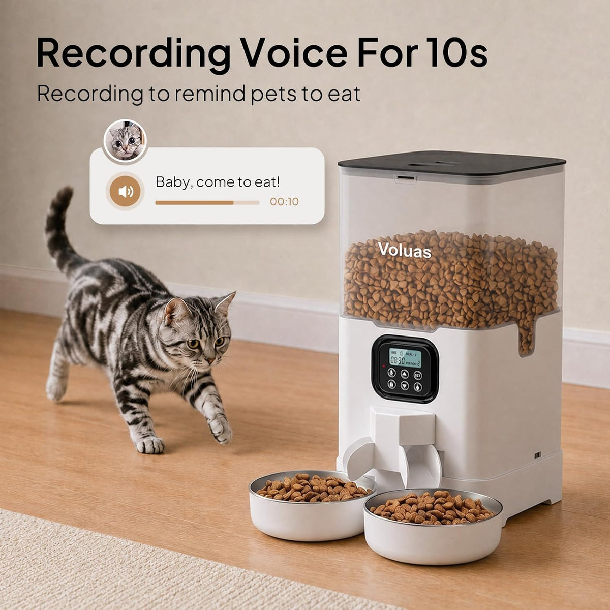 VOLUAS Automatic Cat Feeder for Two Cats with Dual Stainless Bowls, 6L