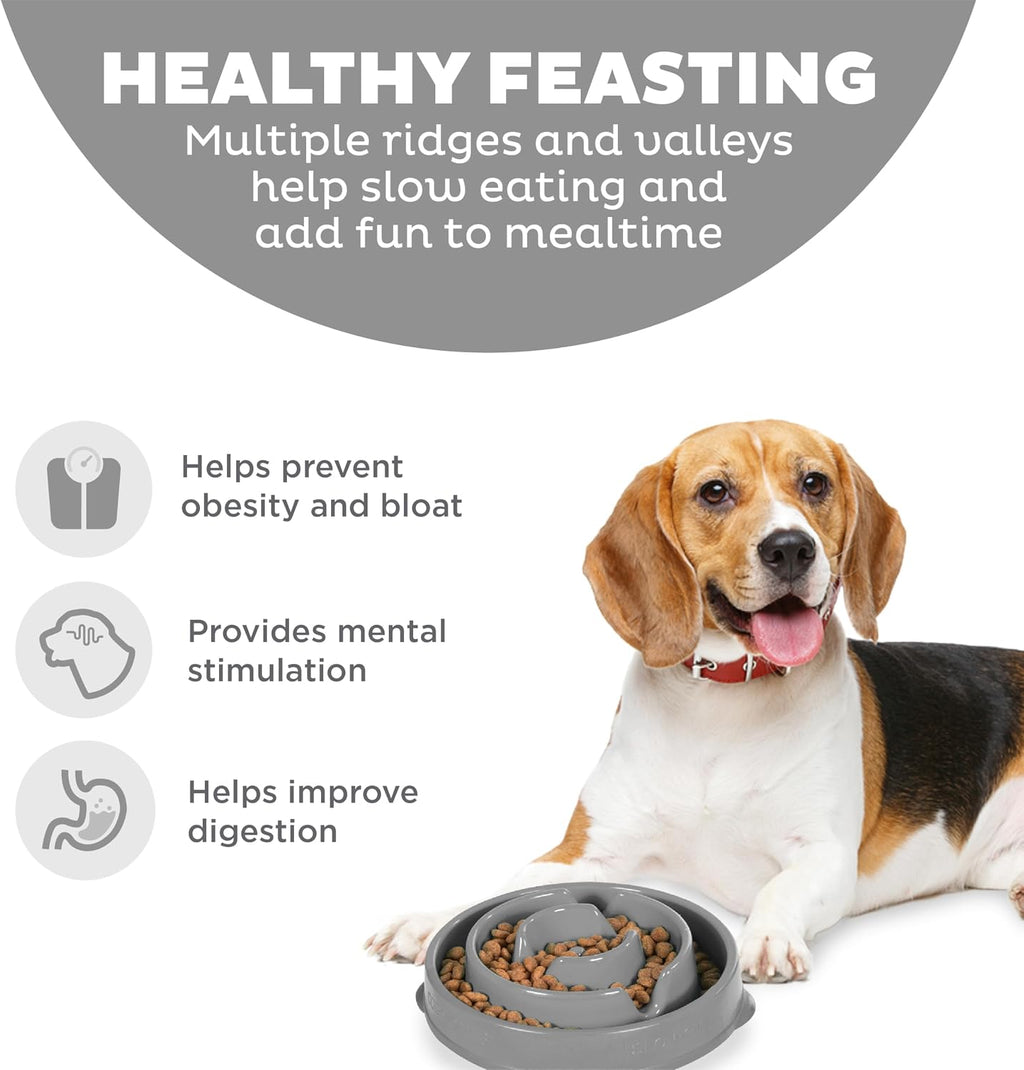 Outward Hound Fun Feeder Slo Bowl Dog Slow Feeder, Drop, Gray, 8.8" | Slows Fast Eaters, Can Aid Digestion, Holds 2 Cups Dry or Wet Food, Non-Slip, Easy Clean, No BPA, Small to Medium Dogs & Cats 