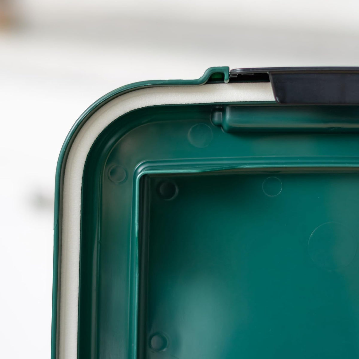 IRIS USA Airtight Pet Food Container, Up to 30 lbs & 11 lbs, Green | Airtight Seal, BPA-Free, 2-Cup Scoop, Stackable Design, Rolling Wheels, Dual Storage 