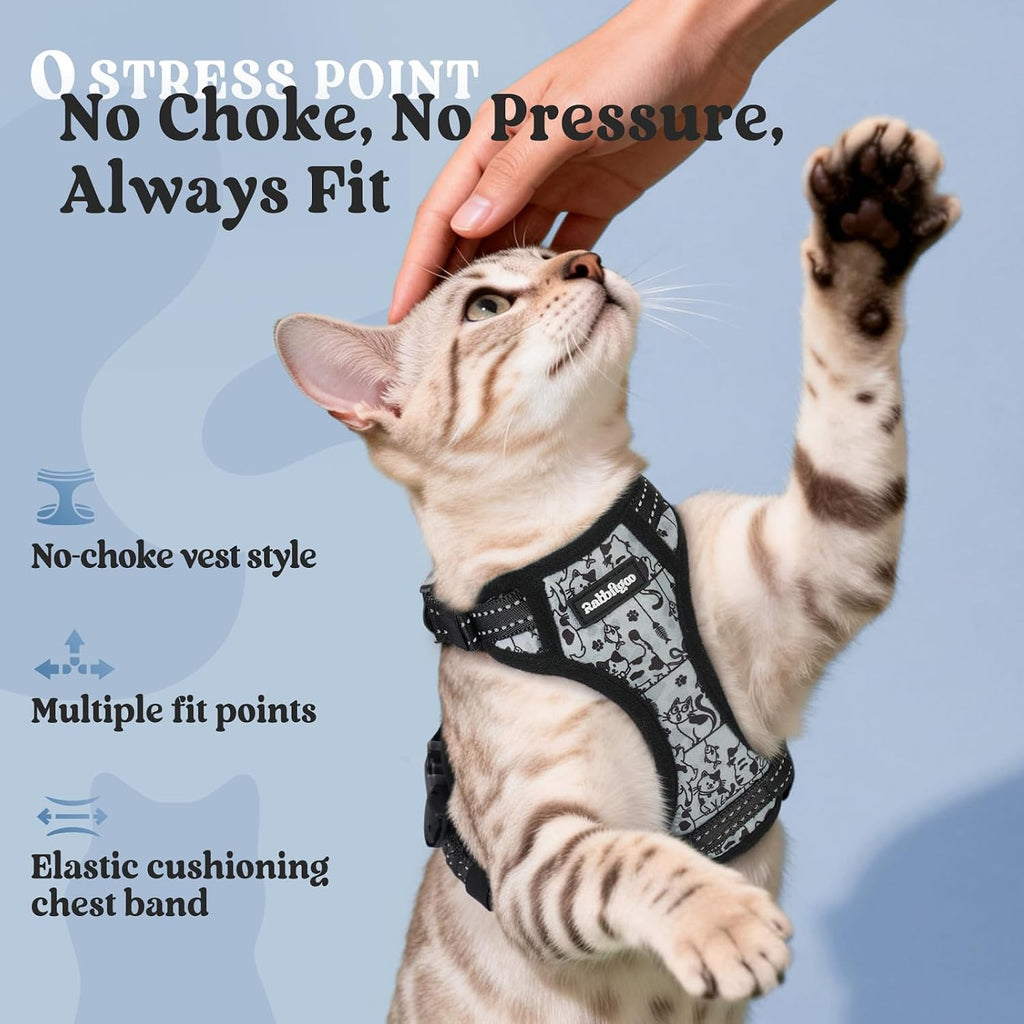 rabbitgoo Cat Harness and Leash Set, Easy-on with Neck Buckle, Misty Catch
