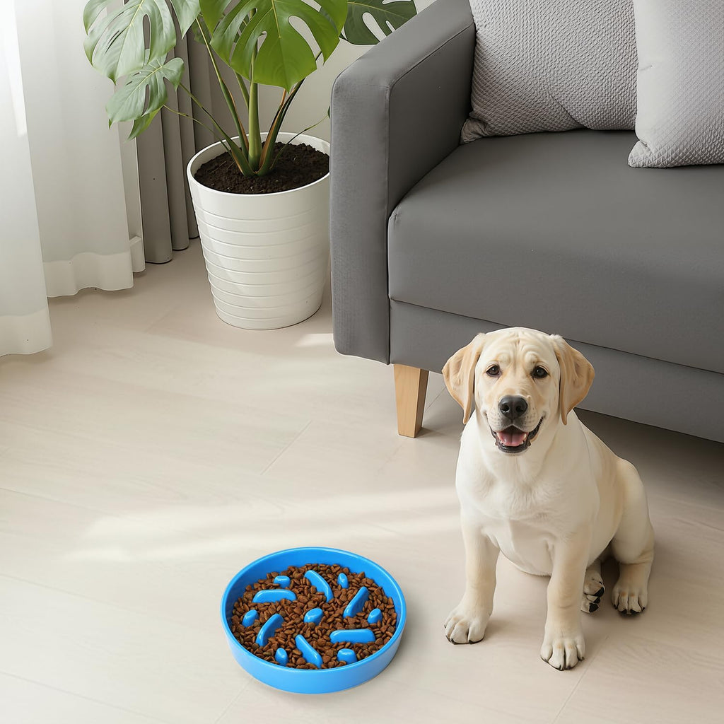 Ceramic Slow Feeder Dog Bowl, 2 Cups Maze Puzzle Dish to Slow Down Eating