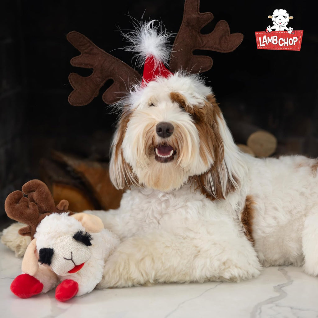 Multipet Lamb Chop Dog Plush Toy with Easter Bunny Ears