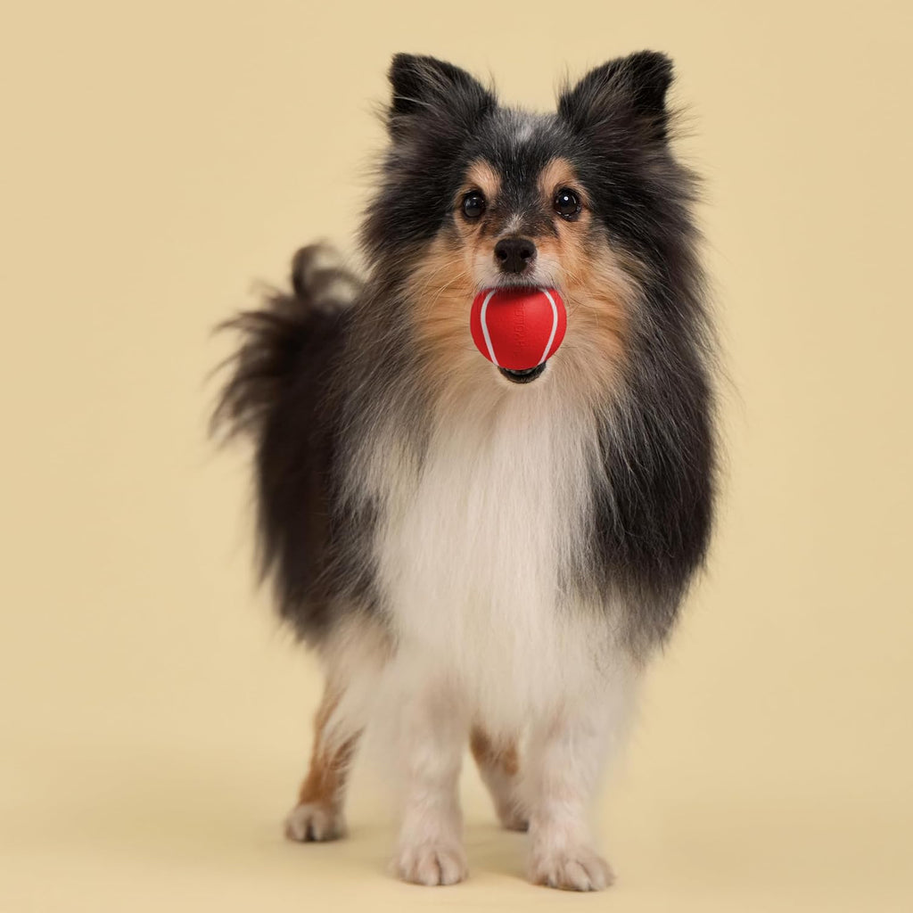 Playology Squeaky Chew Ball Dog Toy - Small, Beef Scent, 3-Pack