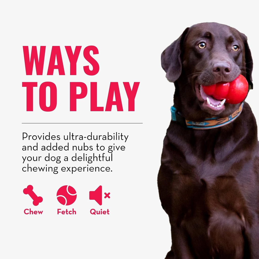 KONG Ring - Natural Rubber Ring Toy for Healthy Chewing Habits - Chew Toy Supports Dog Dental Health - Dog Toy Supports Instincts During Playtime - for Medium/Large Dogs (Pack of 4)