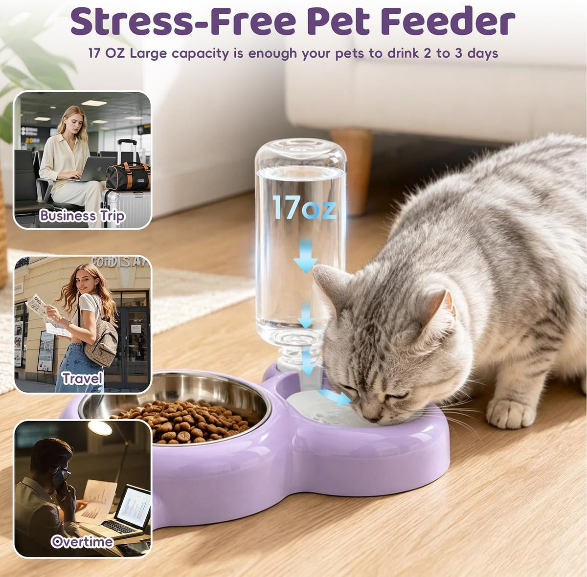 2-in-1 Dog Cat Bowl, Cat Food and Water Bowl Set, Purple