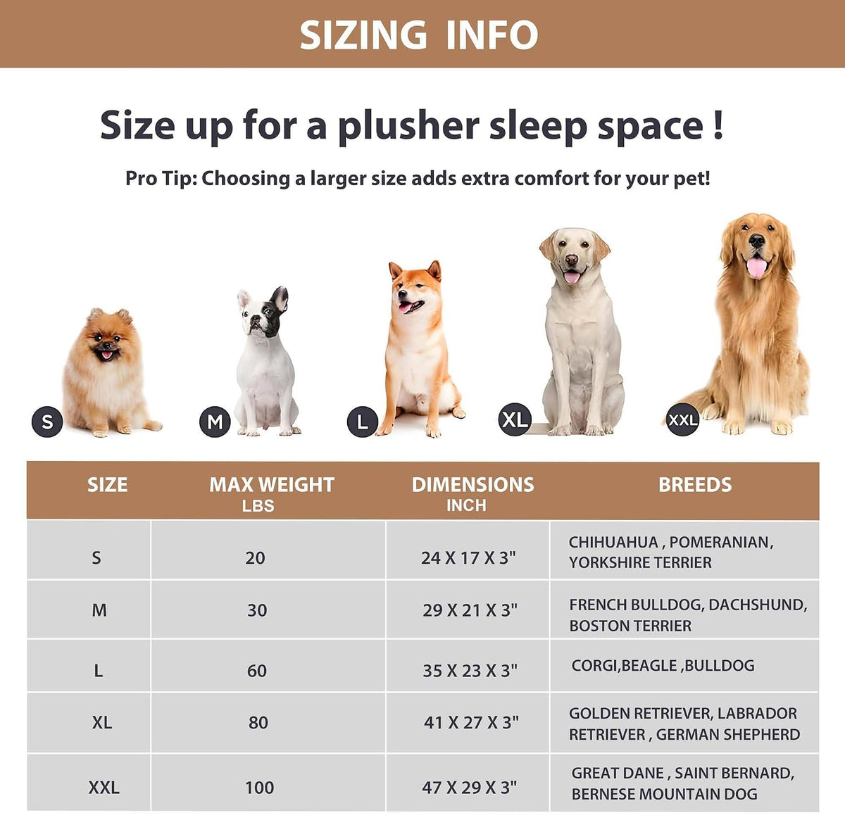 Waterproof Dog Bed for Medium Dog, Orthopedic with Memory Foam