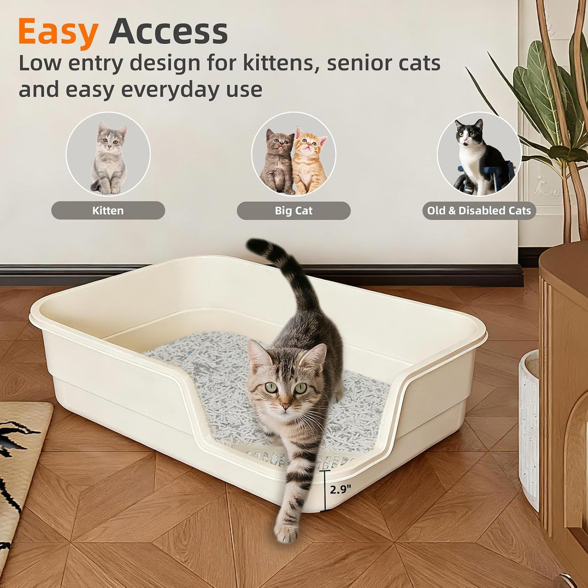 Extra Large Litter Box with Low Entry,Jumbo Cat Litter Box for Kitty and Senior Cats,Cat Box for Indoor Cats,Open Top Corner Litter Pan,Easy to Clean,23.6" L x 15.7" W x 5.9" H (Green)