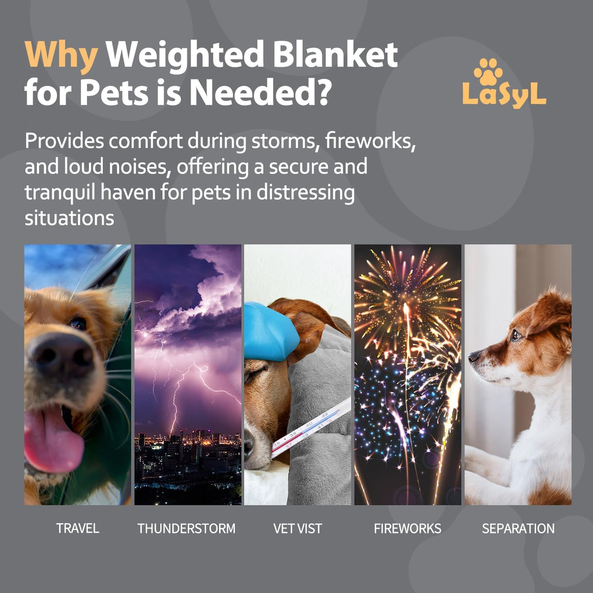 LaSyL Weighted Blanket for Pets | Thunder Blanket for Dogs Anxiety | Premium Soft Minky | Relaxation & Calming & Anti Anxiety | Used in Car, Bed, Couch | Dark Grey, Washable Medium (32"x40")