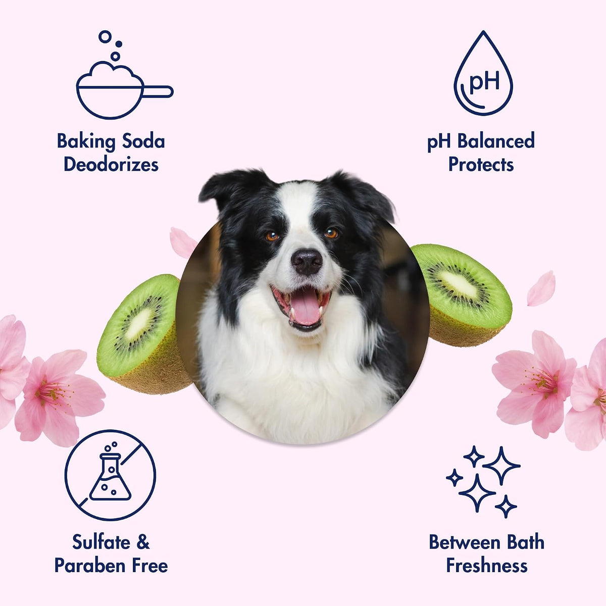 ARM & HAMMER Odor Control No-Rinse Dog Foam, Kiwi Blossom, 8 Fl Oz, 6-Pack