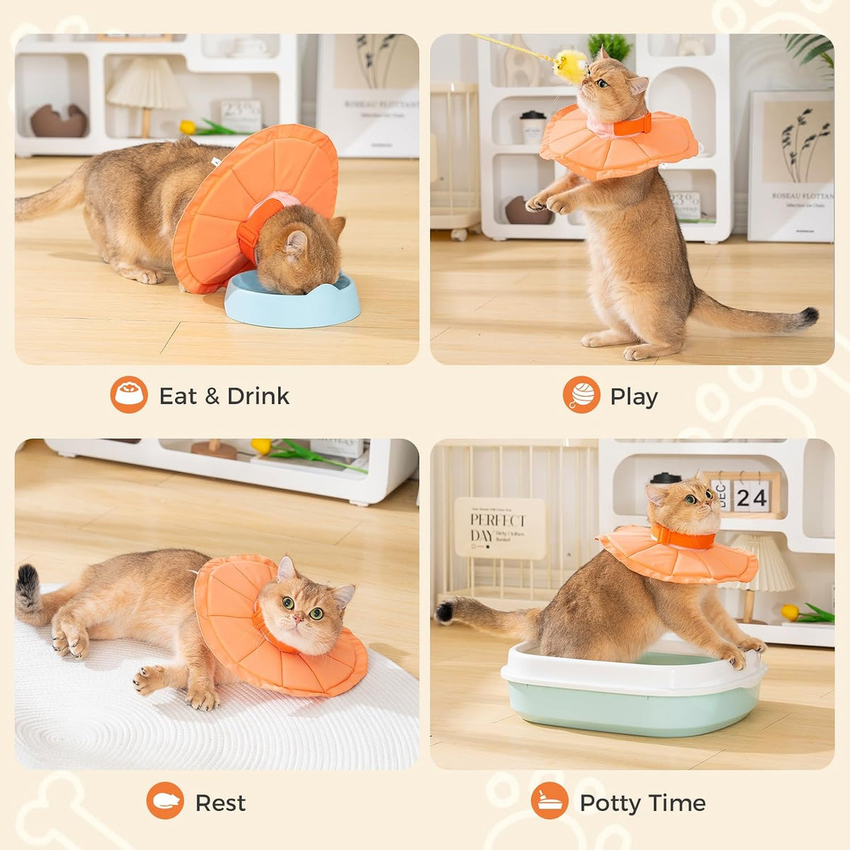 Avont Inflatable Cat Cone, Lightweight Recovery Collar, L Orange