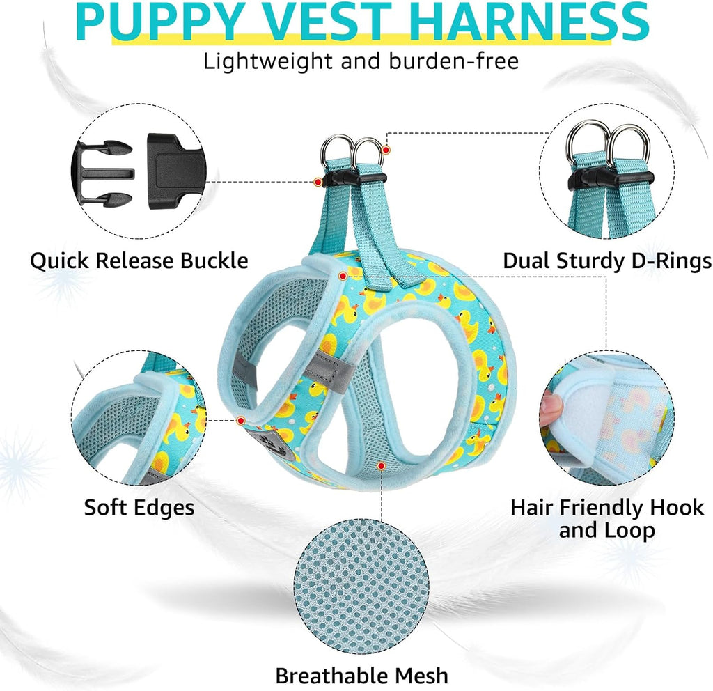 SCENEREAL Small Dog Harness Collar and Leash Set,Cute Puppy Harness No Pull