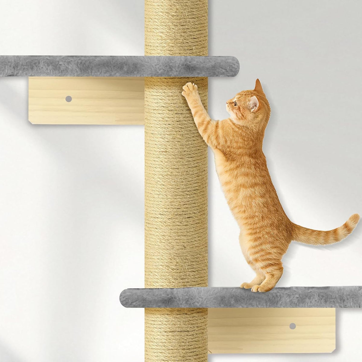 PAWSCRAT 5-Tier Wall-Mounted Cat Tree, 80-Inch Sisal Cat Post, Gray