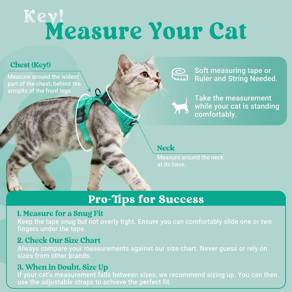 rabbitgoo Cat Harness and Leash Set, Easy-on with Neck Buckle, Kitty Grove