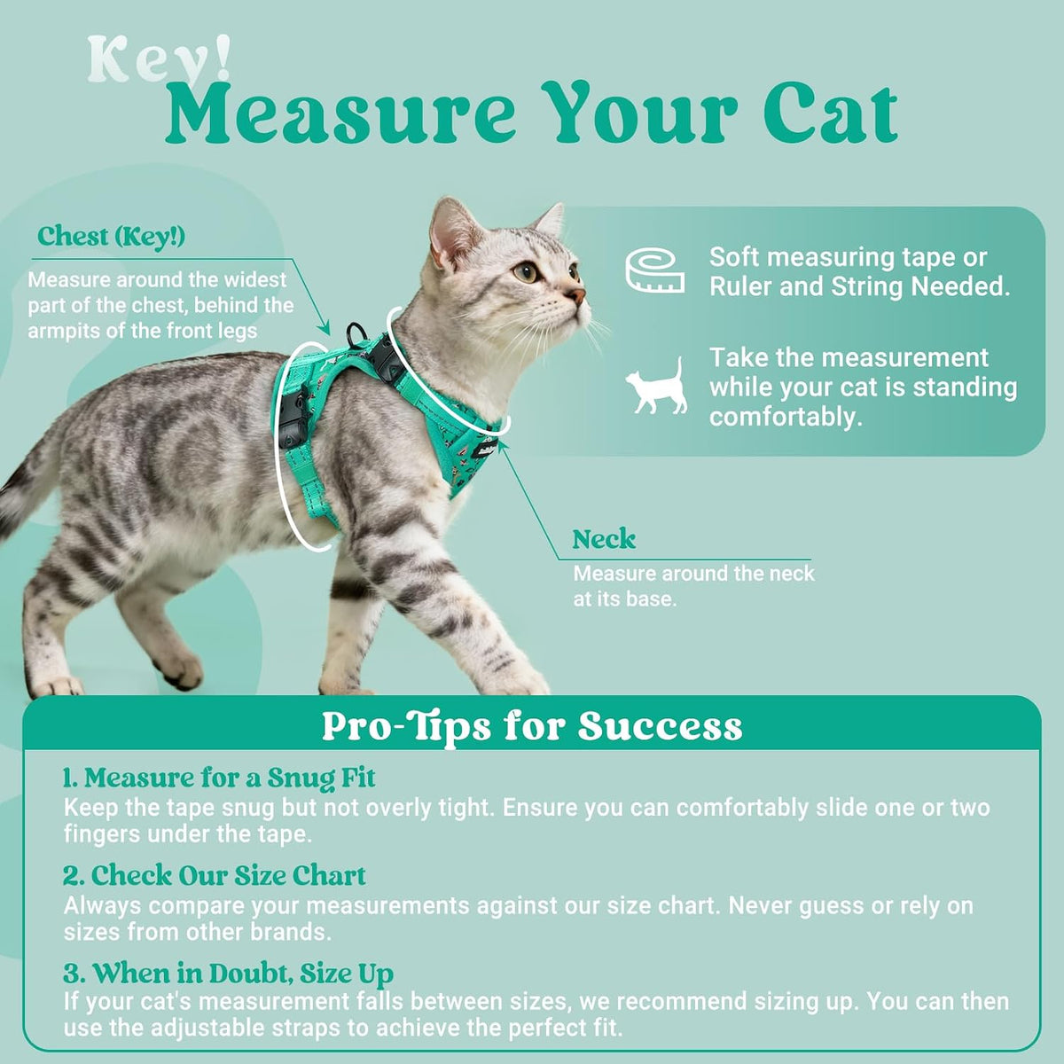 rabbitgoo Cat Harness and Leash Set, Easy-on with Neck Buckle, Kitty Grove