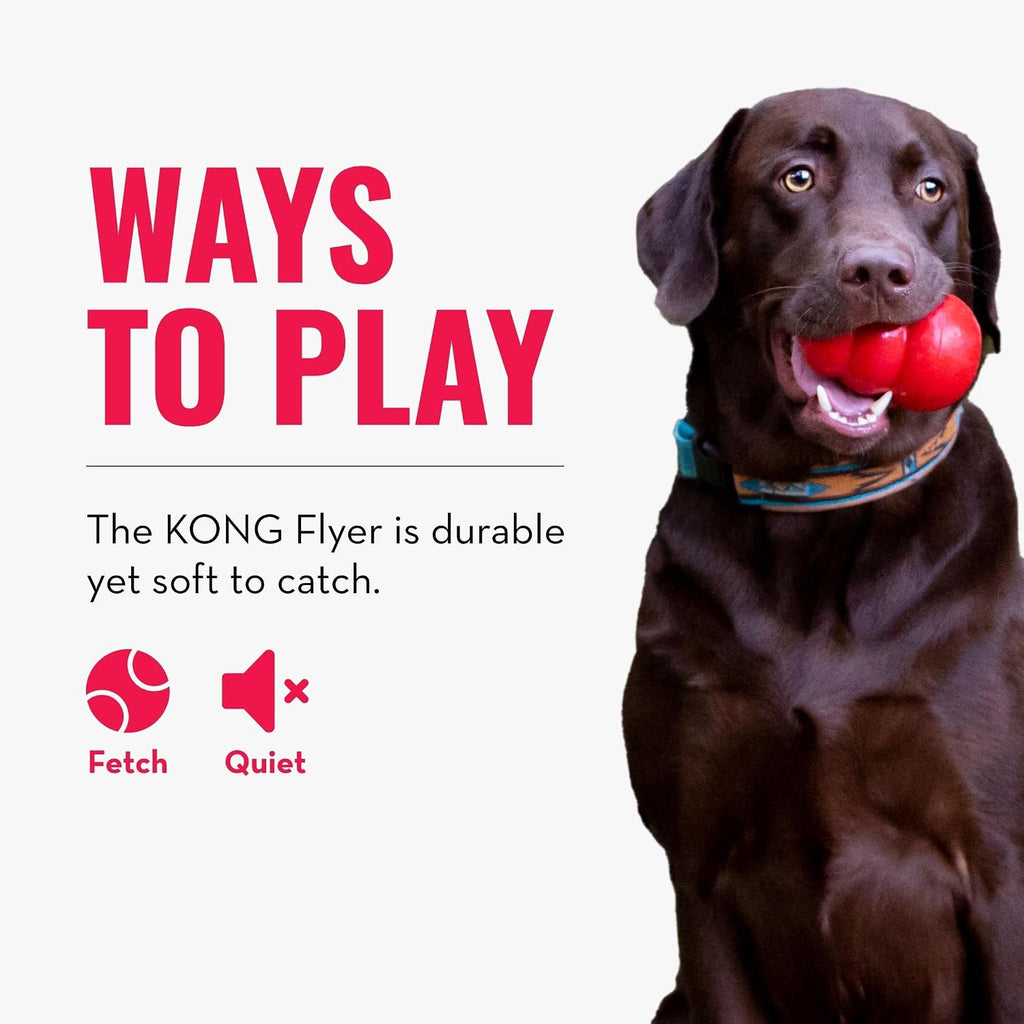 KONG Flyer, Natural Rubber Flying Disc, for Small Dogs (Pack of 2) | Durable KONG Natural Rubber Flying Disc for Fetch, a Safer Disc for Healthy Outdoor Activity & Active Play