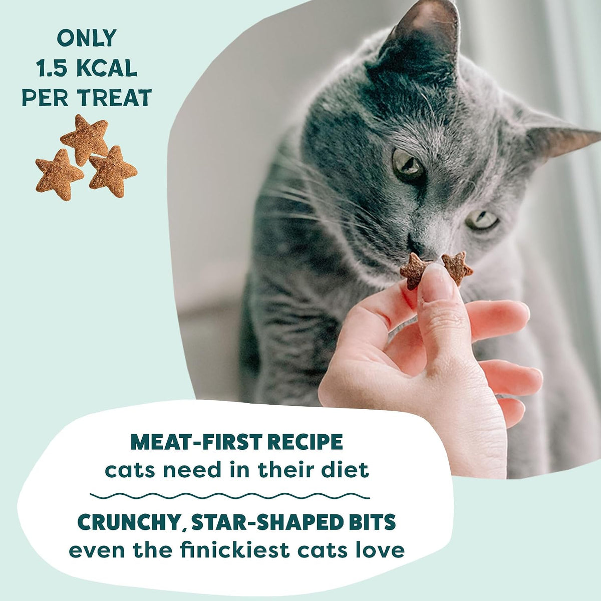 Shameless Pets Catnip N Chill Chicken Liver Crunchy Cat Treats, 5 oz