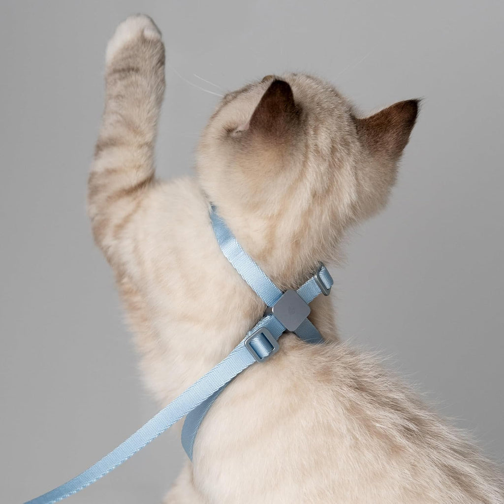 Cat Harness and Leash 2-in-1, Escape Proof Anti-Choking Harness Adjustable Lightweight Leash One-Piece Non-Detachable for Kitten Cats Outoor Walking Training, US IDA Bronze Award (Gray)