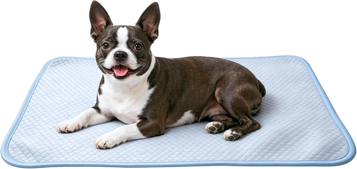 Petfelix FrostPlus Cooling Mat for Dogs Qmax>0.45 Breathable Dog Cooling Mat Chemical Free Fabric Cooling Dog Bed for Cats and Small Animals Non Slip Washable Scratch Resistant, M, 28''*20''