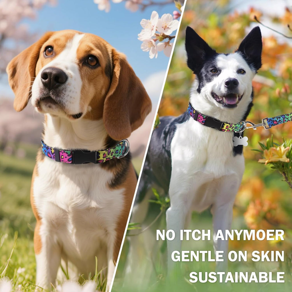Dog Collar and Leash Set, Adjustable Pet Collars with 5FT Leash