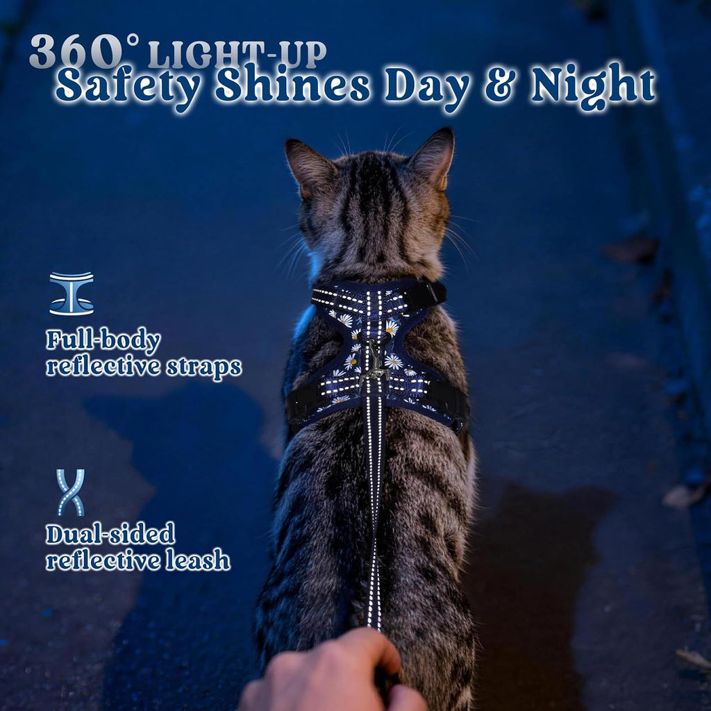 rabbitgoo Cat Harness and Leash Set, Easy-on with Neck Buckle, Night Daisy