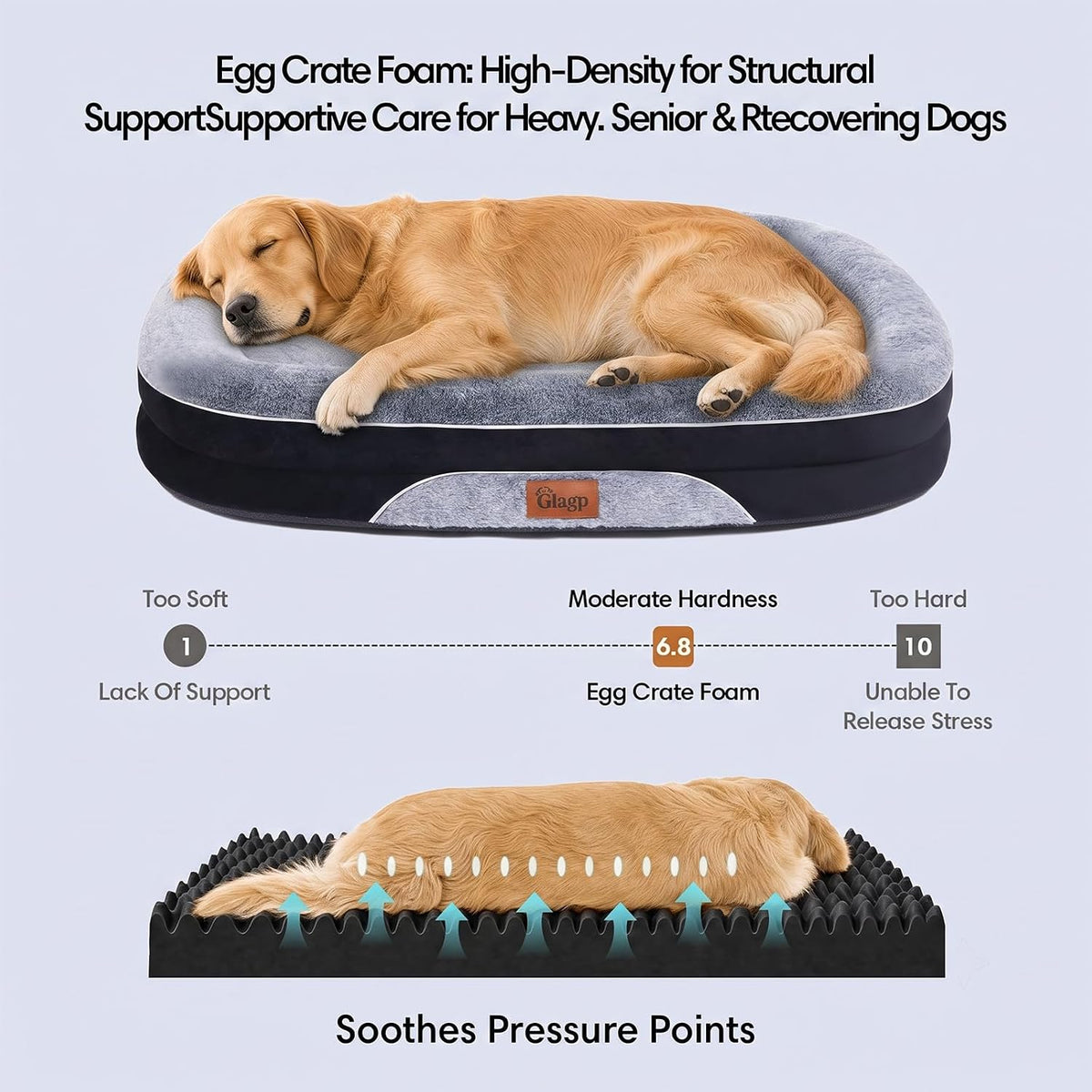 Orthopedic Dog Beds Large Sized Dog, Washable Dog Bed, 48" L, Black