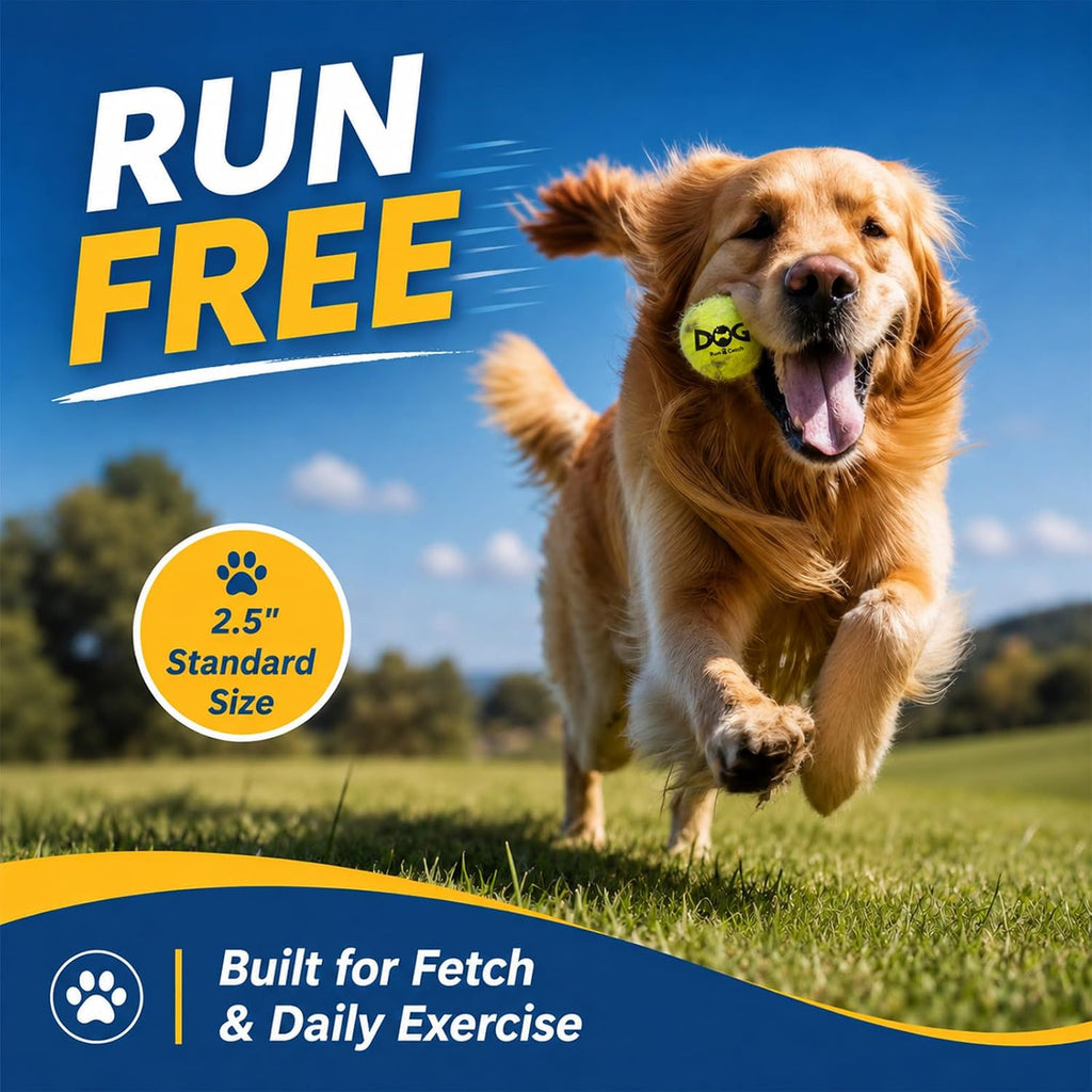 INSUM Tennis Balls for Dogs, 12 Pack Small Medium Dog Toys Balls