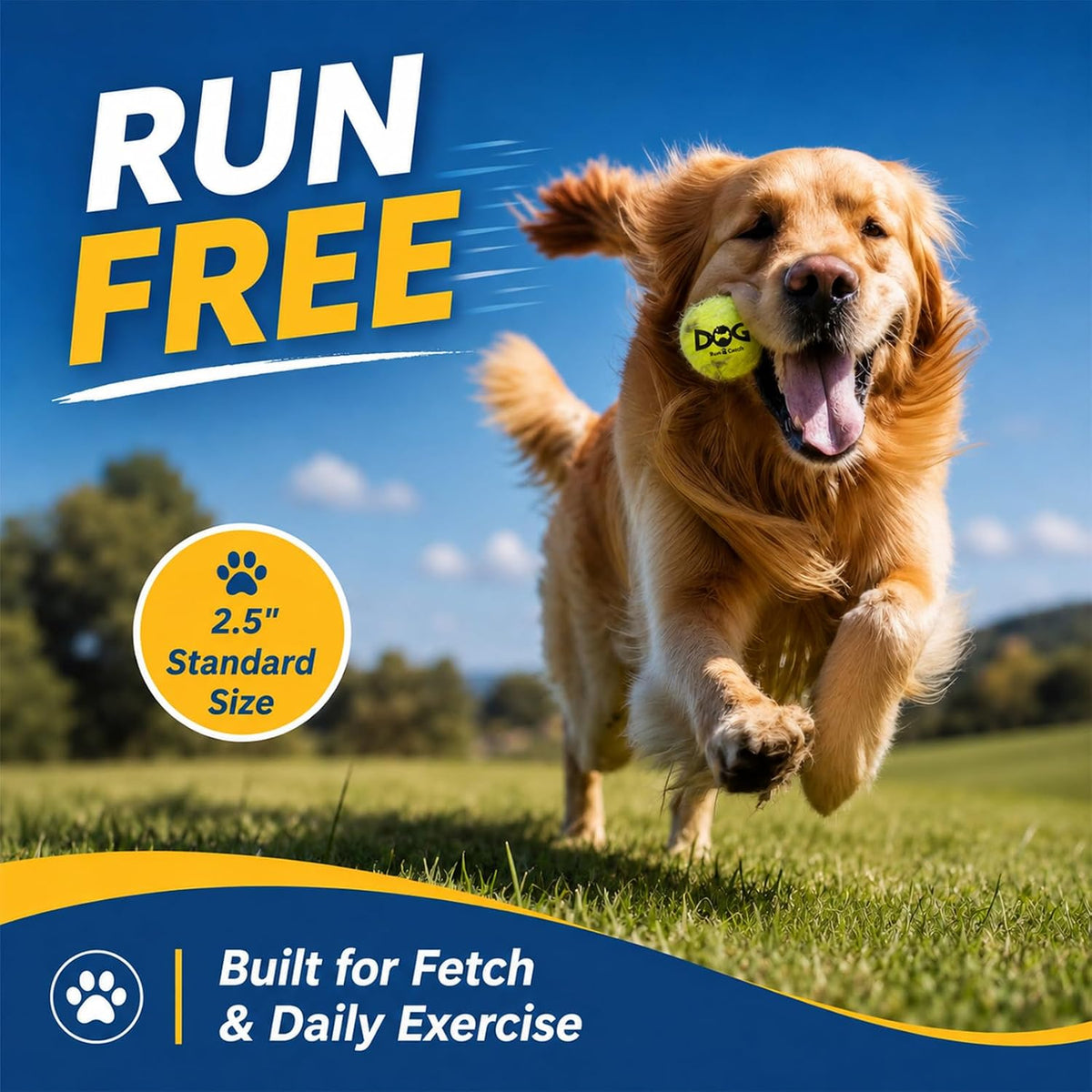 INSUM Tennis Balls for Dogs, 12 Pack Small Medium Dog Toys Balls