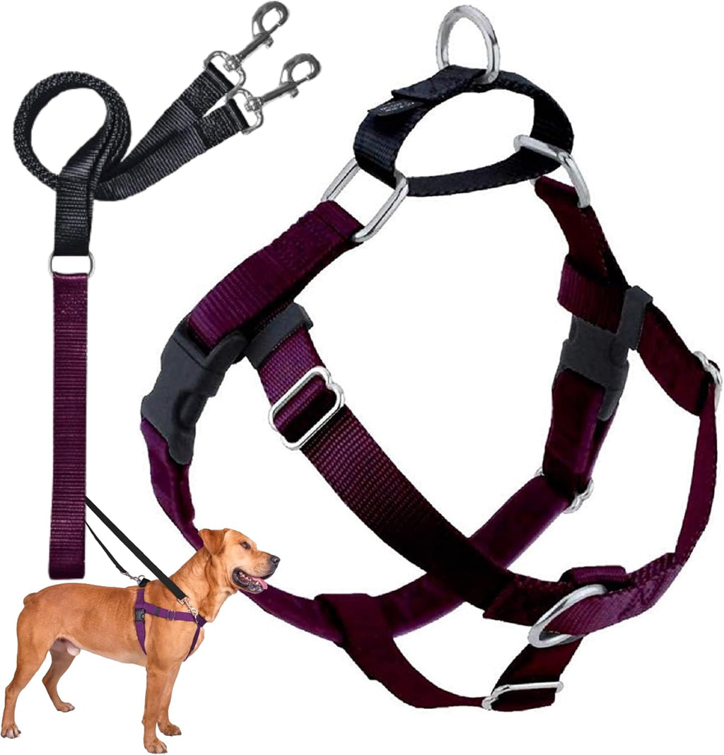 2 Hounds Design Freedom No Pull Dog Harness and Leash, 1" LG, Burgundy
